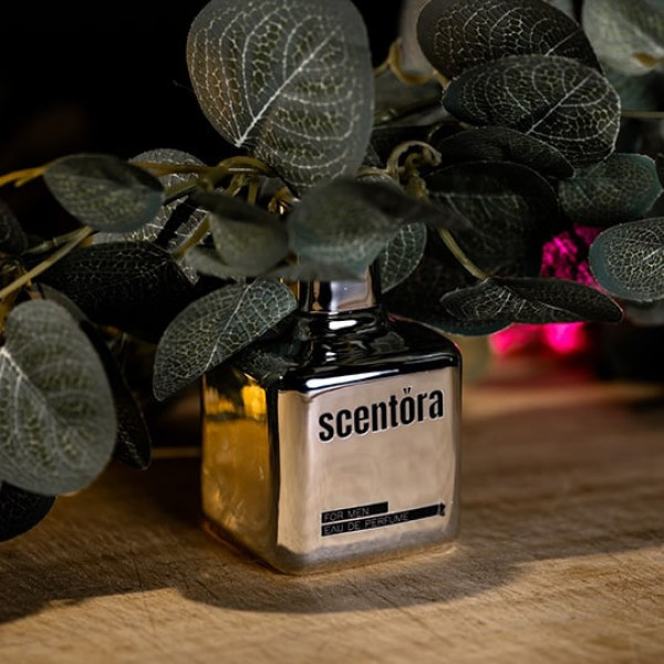 Scentora Silver Premium Men's Perfume Scentora Silver Premium Men's Perfume